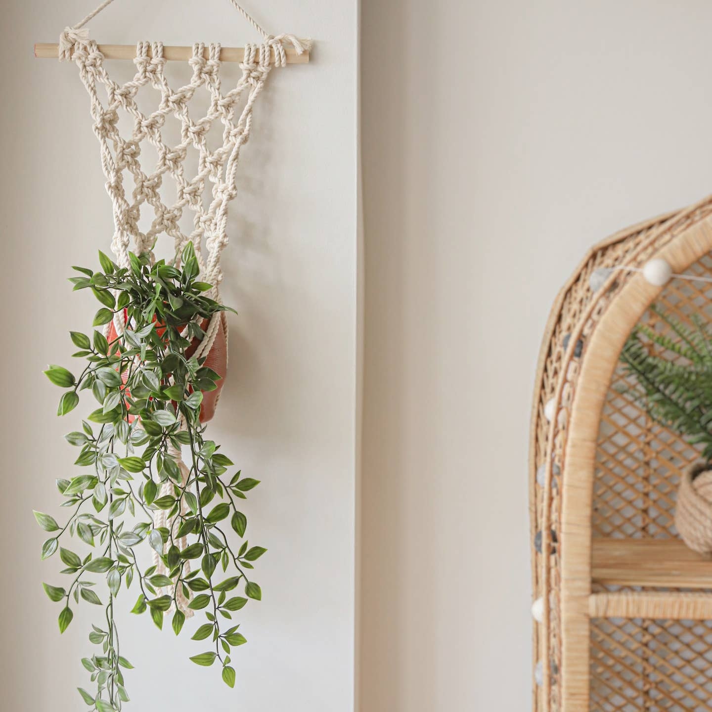 Wall Hanging Macrame Plant Hanger