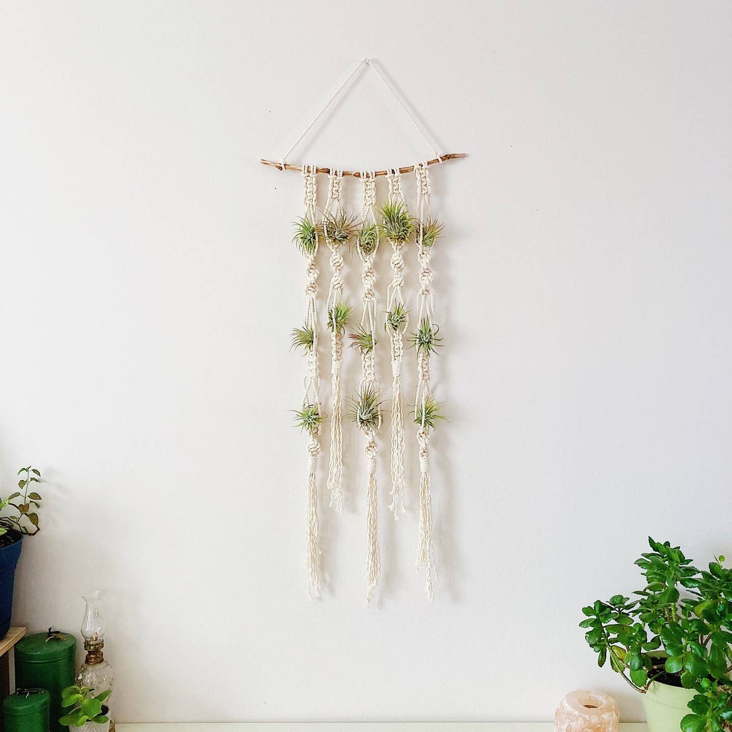 Macrame Wall Hanging For Air Plants/Macrame Air Plant Holder