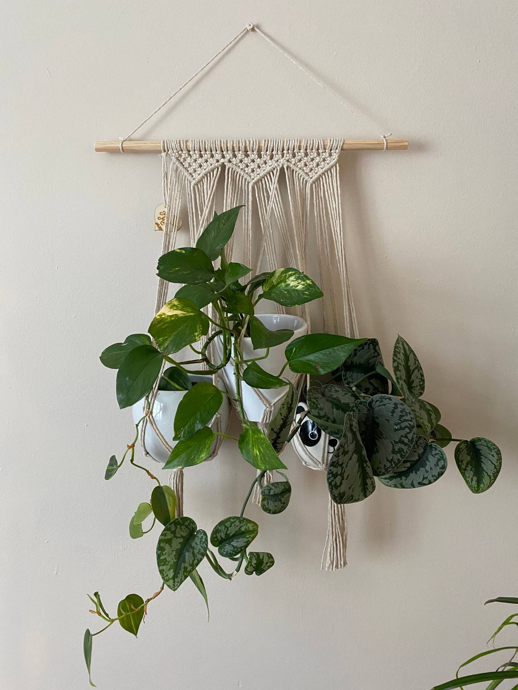 Natural triple macrame plant holder, multiple plant hanger, wall plant hanger, plant wall decor hanger, indoor wall planter,houseplant decor