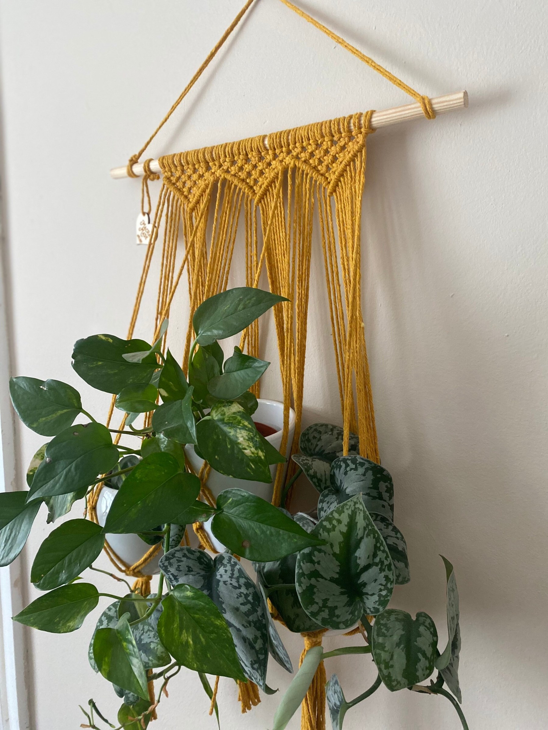 Mustard triple macrame plant holder, multiple plant hanger, wall plant hanger, plant wall decor hanger, indoor wall planter,houseplant decor