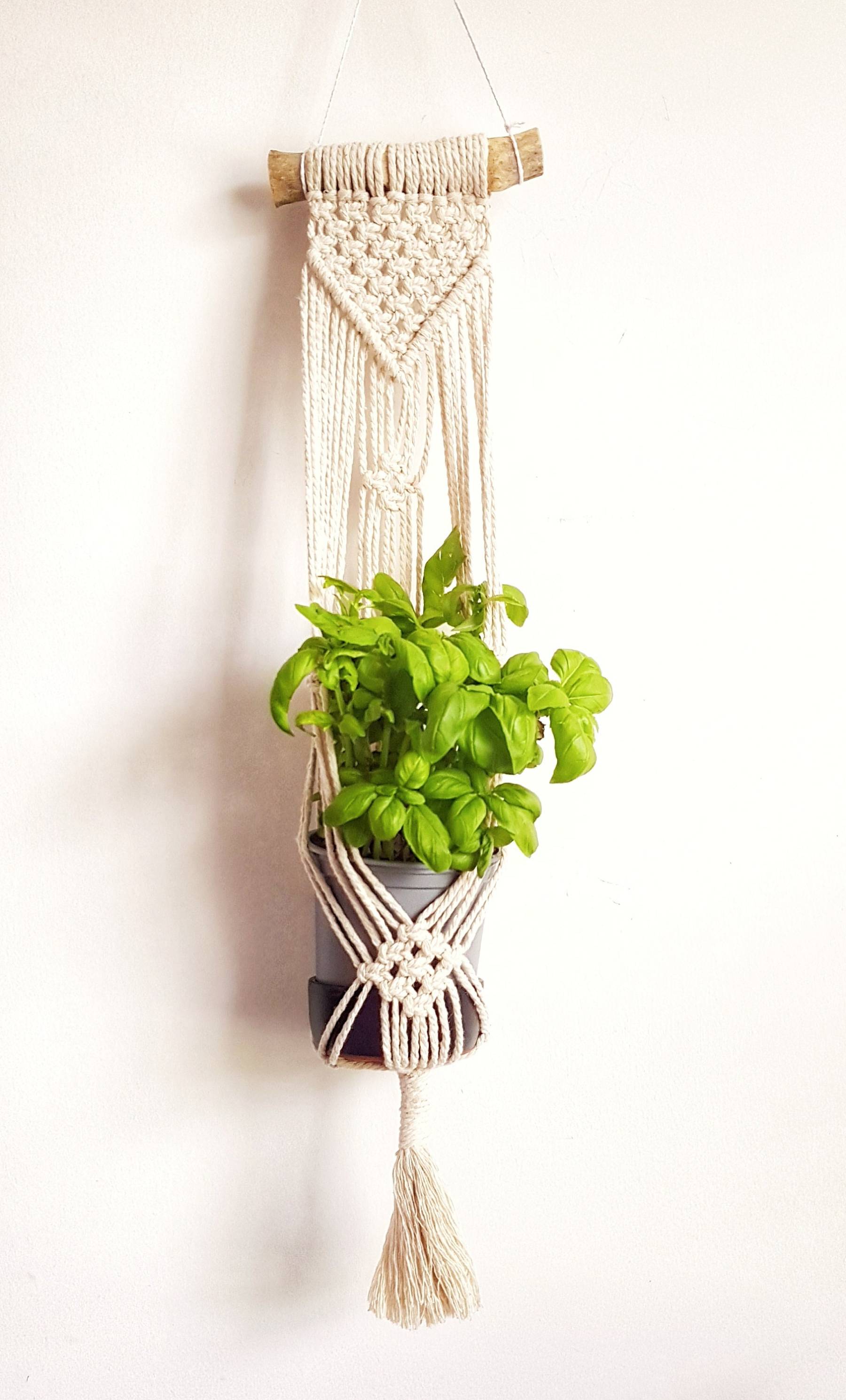 Macrame Plant Hanger,Indoor Hanging Planter,Macrame Plant Holder,Cotton Hanging,houseplant botanical style,Minimalist Planter,Boho Home