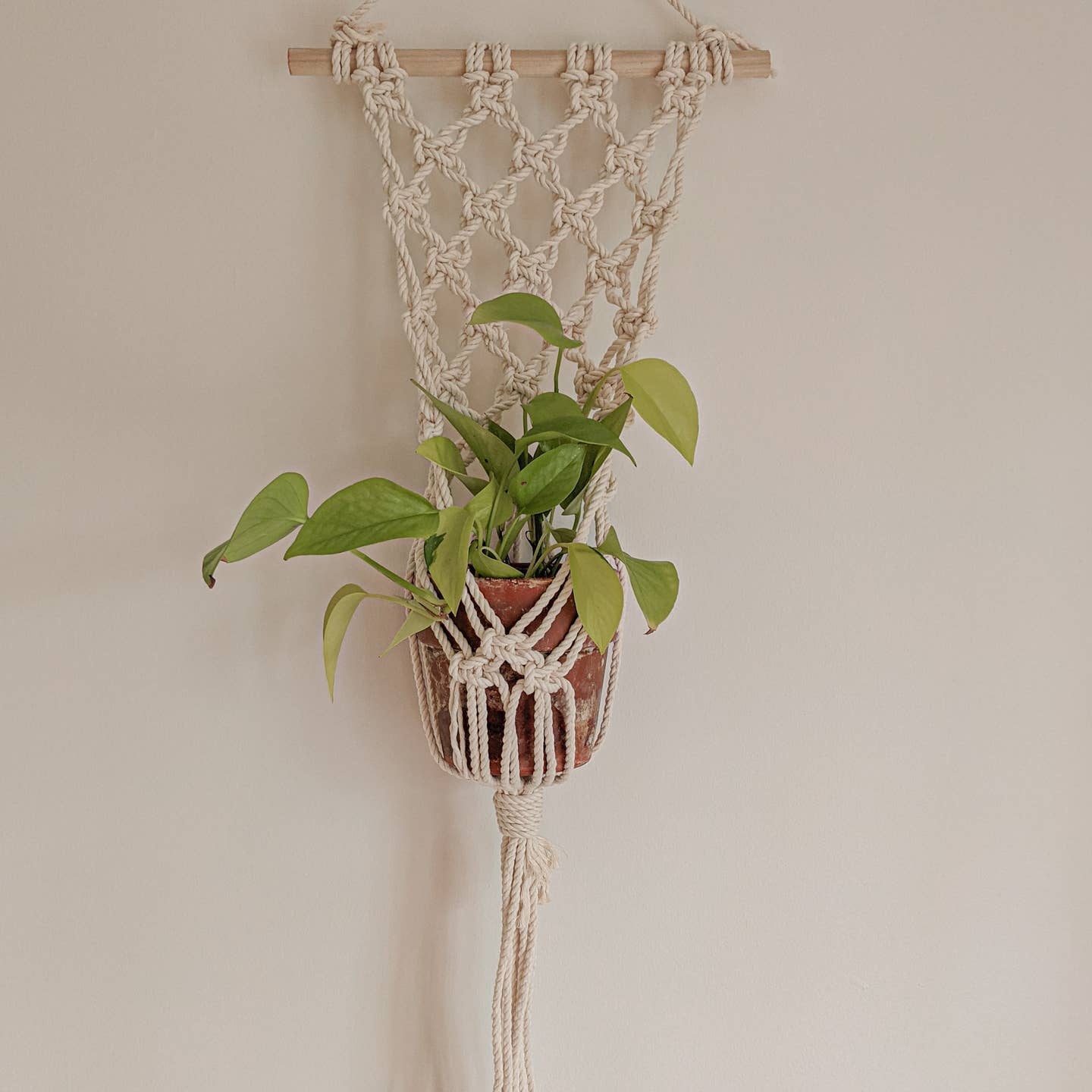 Wall Hanging Macrame Plant Hanger