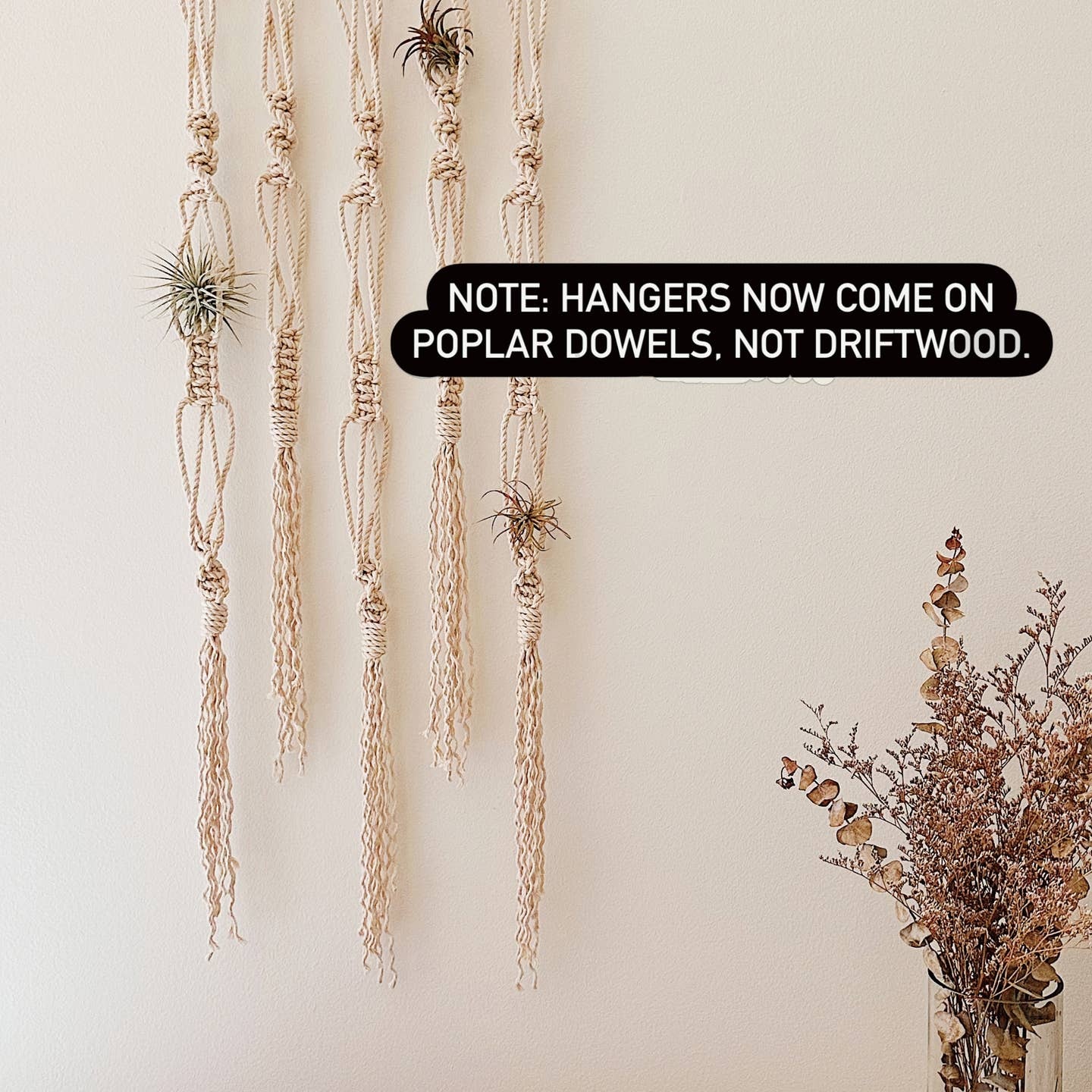 Macrame Wall Hanging For Air Plants/Macrame Air Plant Holder