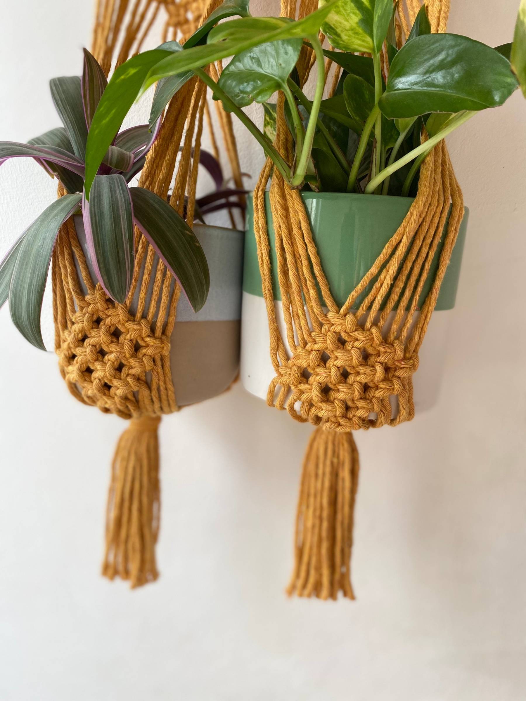 Mustard double wall plant holder, multiple plant hanger, macrame plant hanger, plant wall decor hanger, indoor wall planter, indoor plants