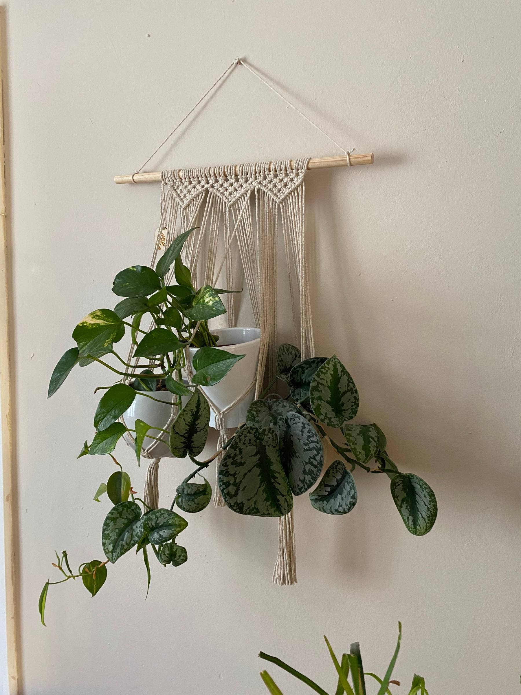 Natural triple macrame plant holder, multiple plant hanger, wall plant hanger, plant wall decor hanger, indoor wall planter,houseplant decor