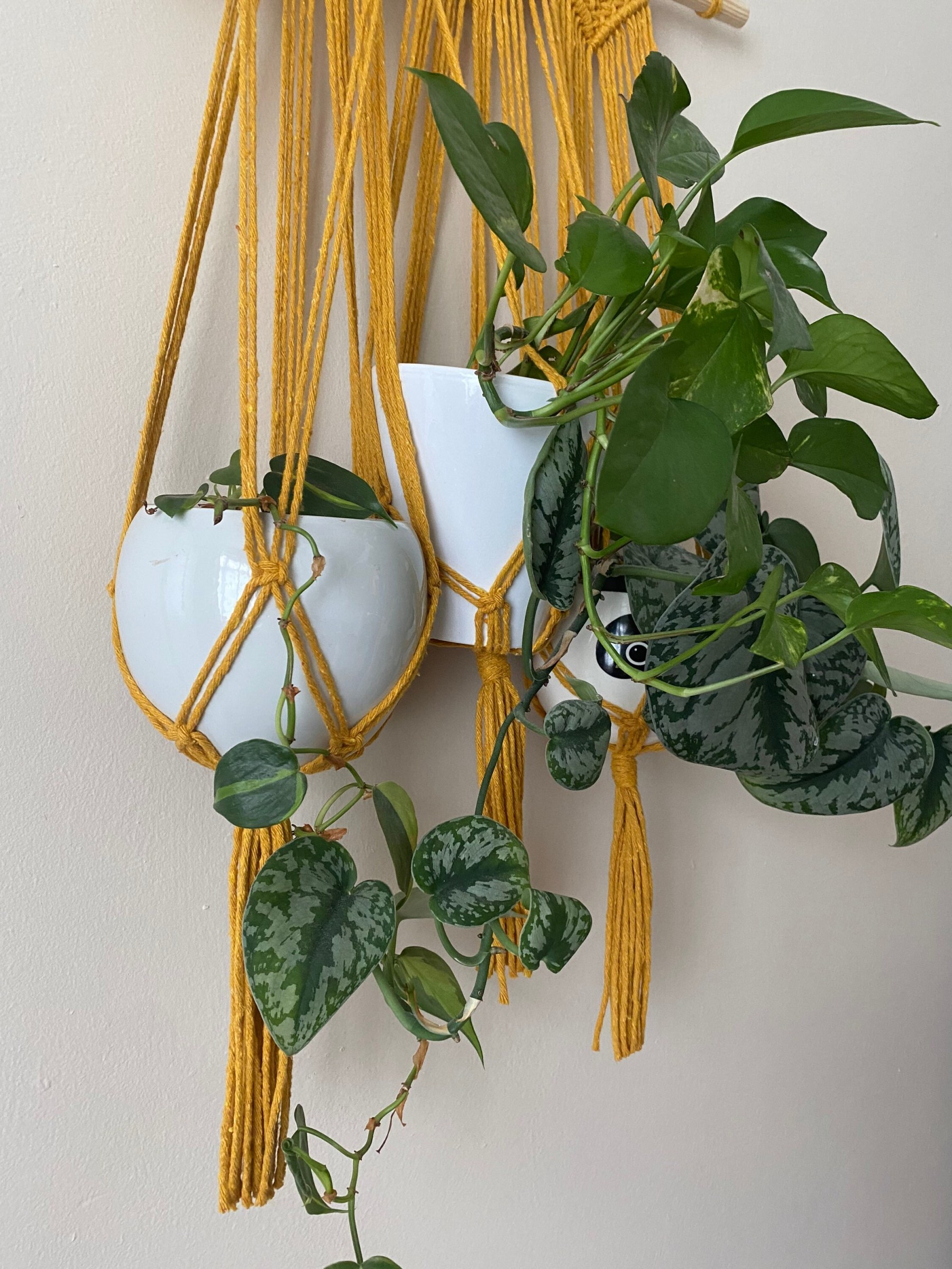 Mustard triple macrame plant holder, multiple plant hanger, wall plant hanger, plant wall decor hanger, indoor wall planter,houseplant decor