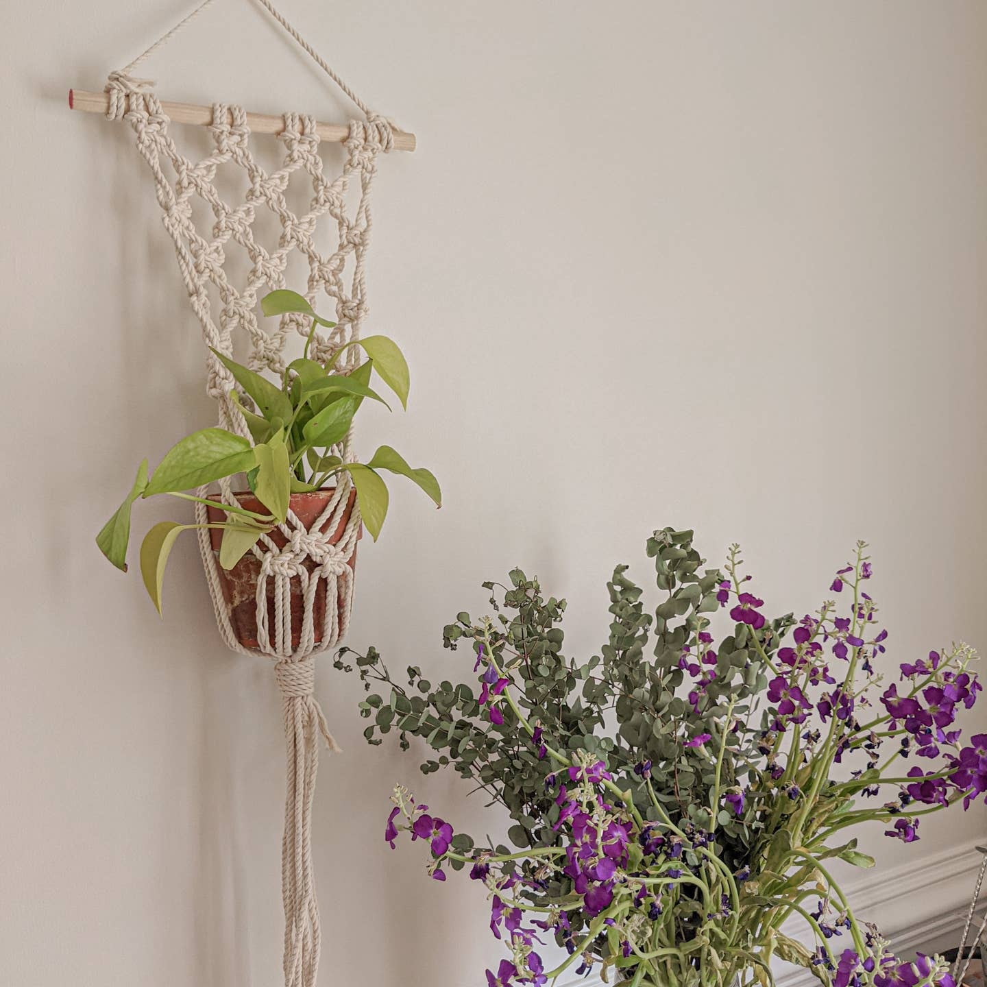 Wall Hanging Macrame Plant Hanger