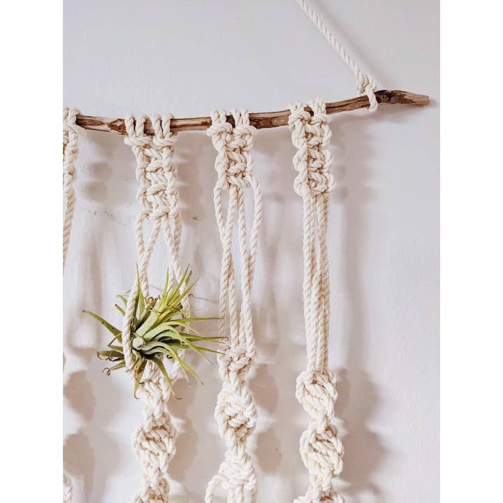 Macrame Wall Hanging For Air Plants/Macrame Air Plant Holder