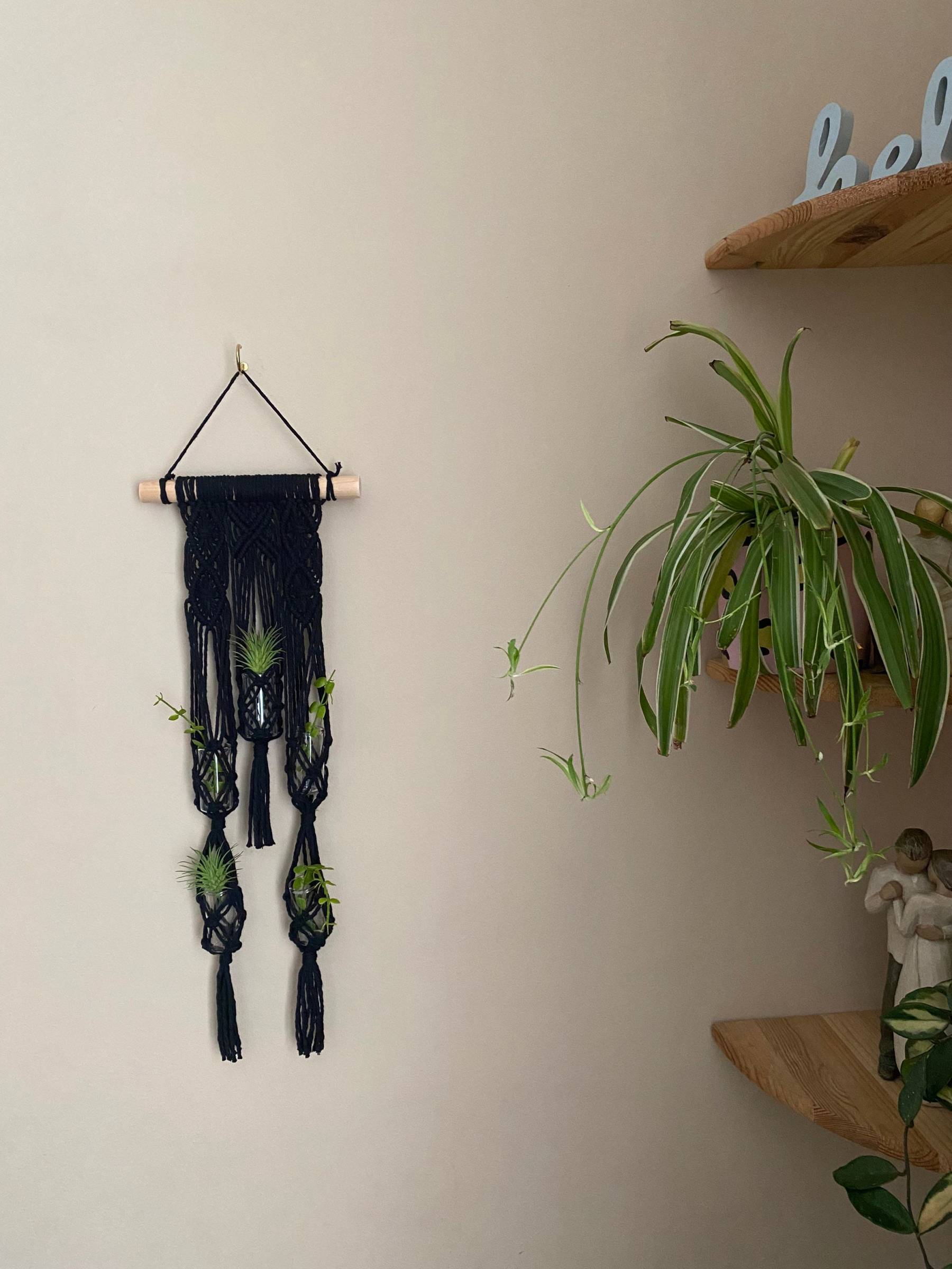 Black propagation station wall,botanical wall art, plant cuttings,propagation tubes,hydroponic vase, air plant holder, glass test tube vase