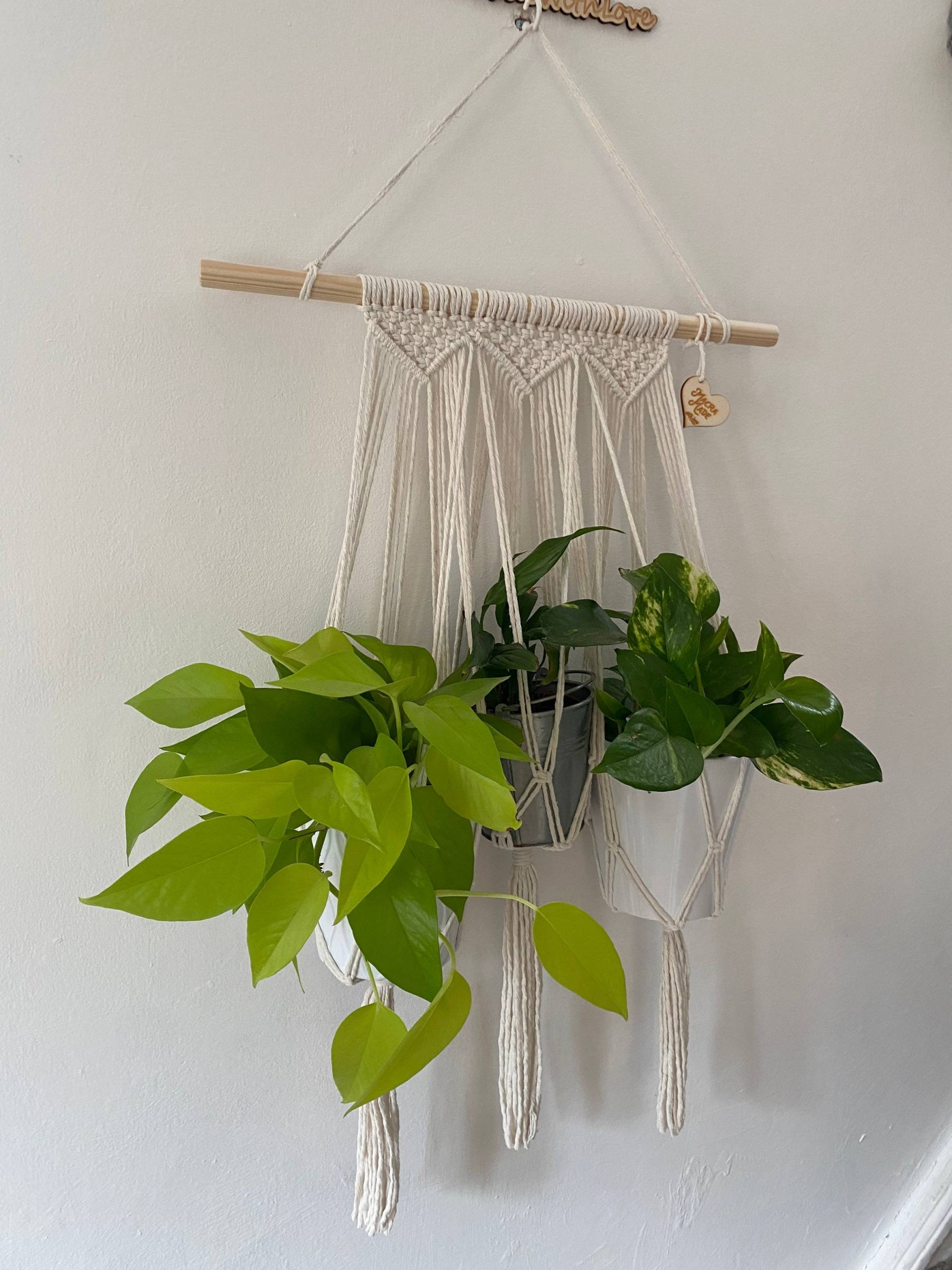 Natural triple macrame plant holder, multiple plant hanger, wall plant hanger, plant wall decor hanger, indoor wall planter,houseplant decor