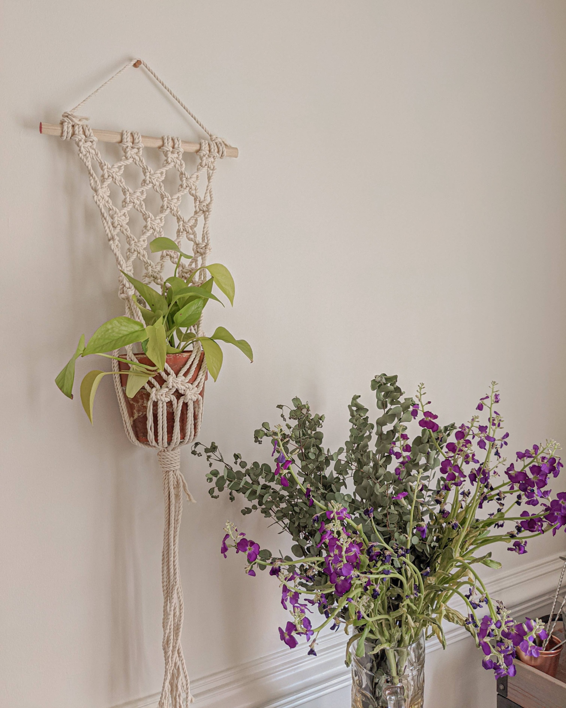 Wall Hanging Macrame Plant Hanger