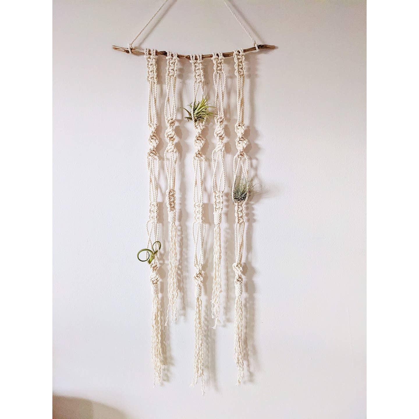 Macrame Wall Hanging For Air Plants/Macrame Air Plant Holder