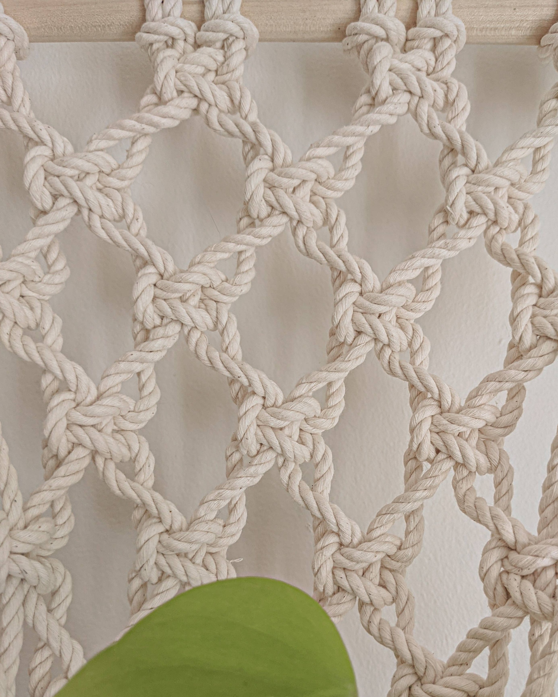 Wall Hanging Macrame Plant Hanger