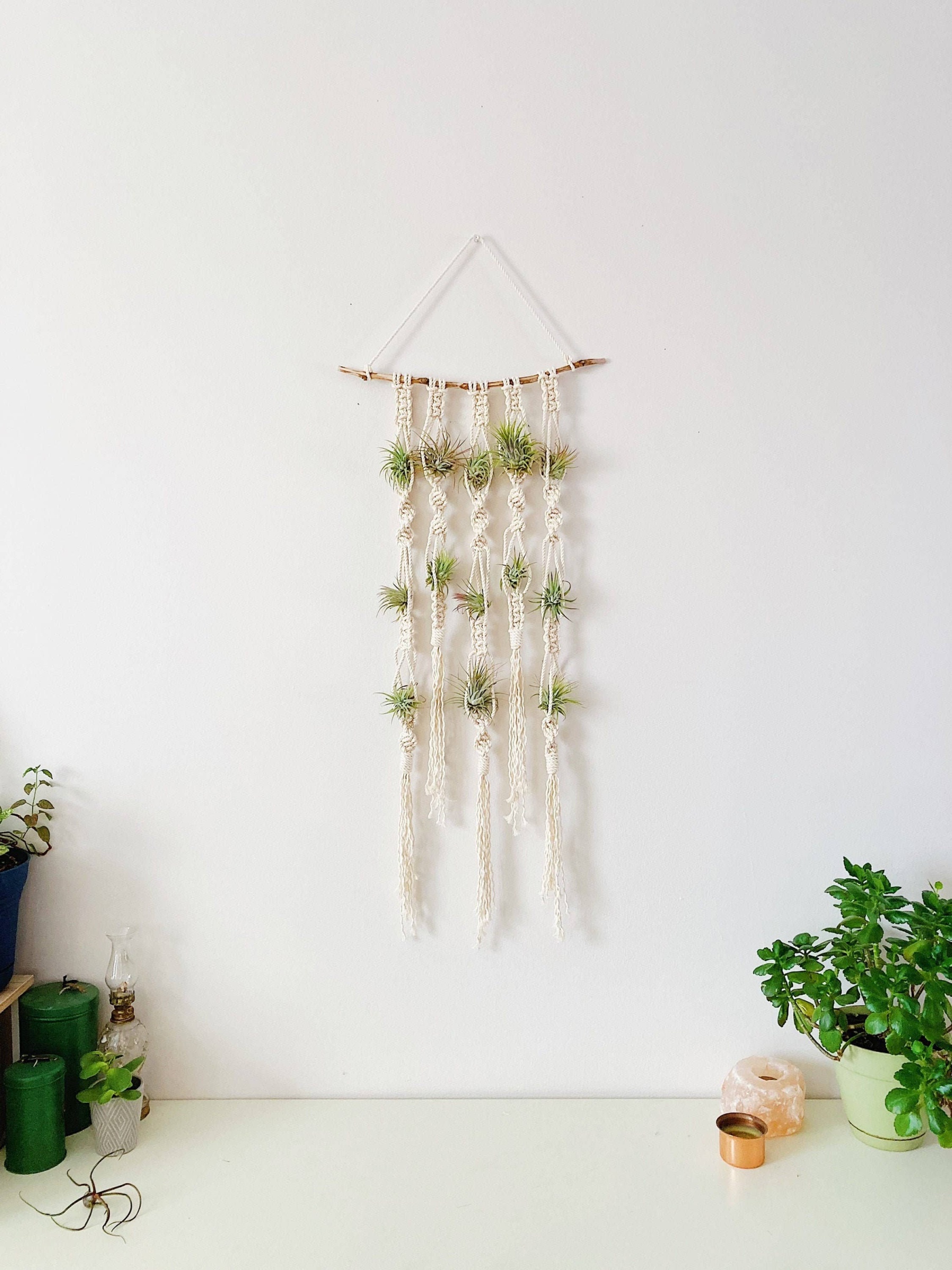 Macrame Wall Hanging For Air Plants/Macrame Air Plant Holder