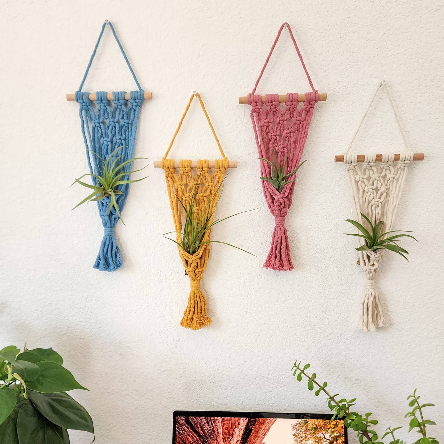 Macrame Air Plant Hangers, Handmade Air Plant Holders