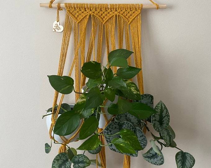 Mustard double wall plant holder, multiple plant hanger, macrame plant hanger, plant wall decor hanger, indoor wall planter, indoor plants