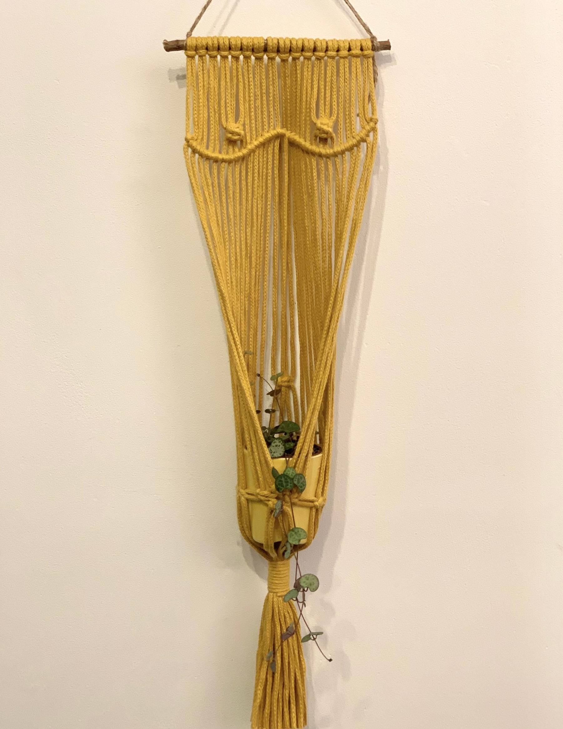 Boobie Macramé Plant Hangers