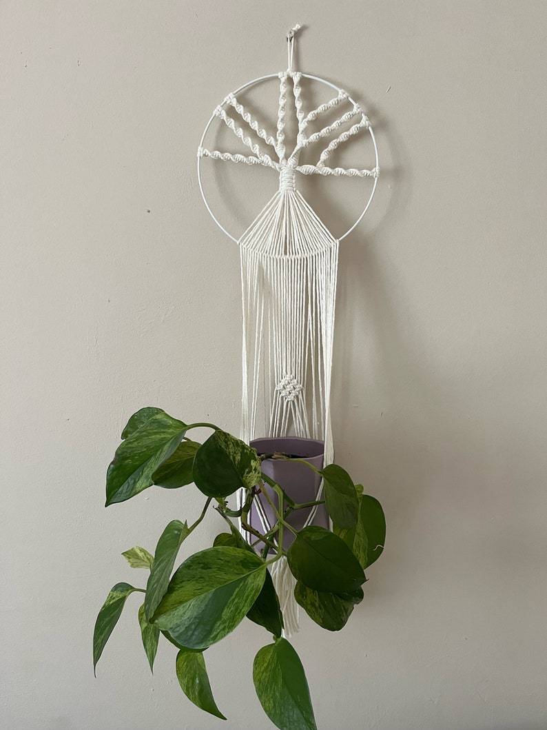 Natural macrame tree of life plant pot holder, quirky wall art, boho decor, tree of life wall art, unique decor, plant hanger indoors