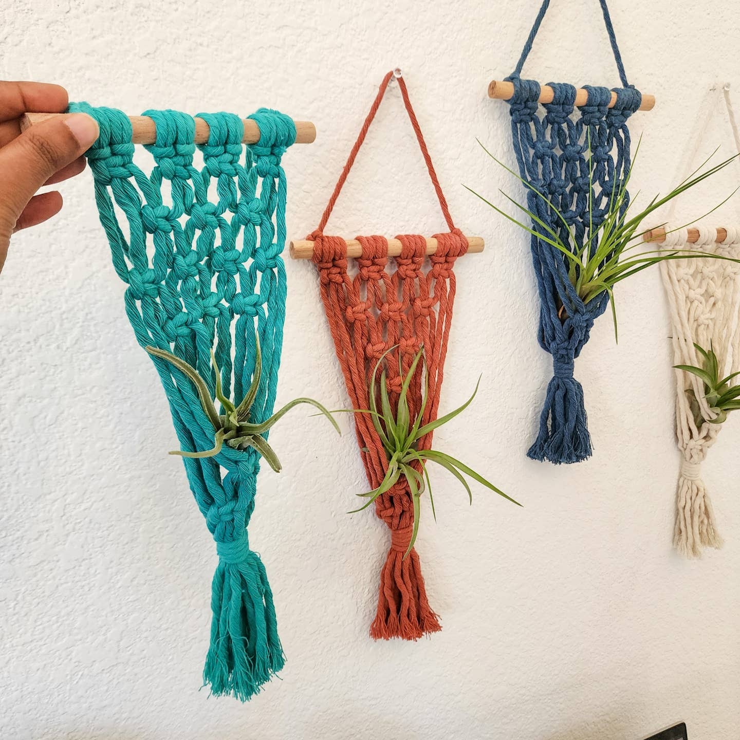 Macrame Air Plant Hangers, Handmade Air Plant Holders