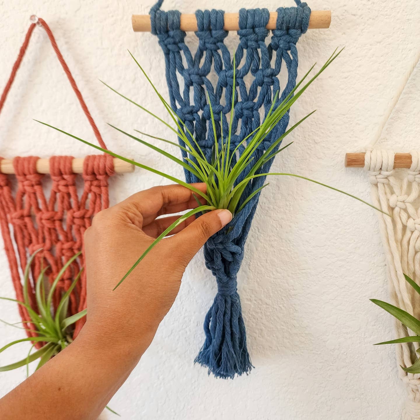 Macrame Air Plant Hangers, Handmade Air Plant Holders
