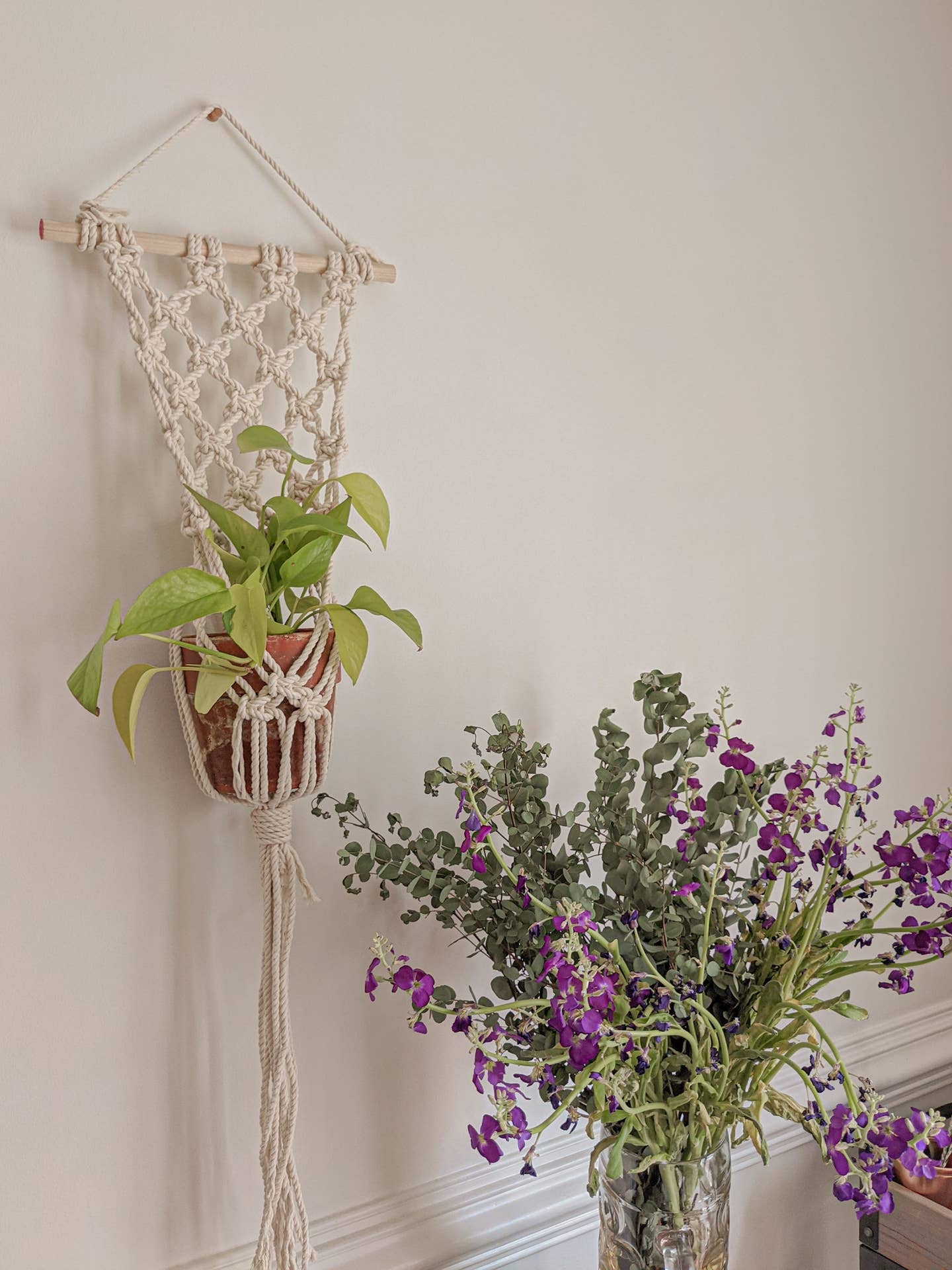 Wall Hanging Macrame Plant Hanger
