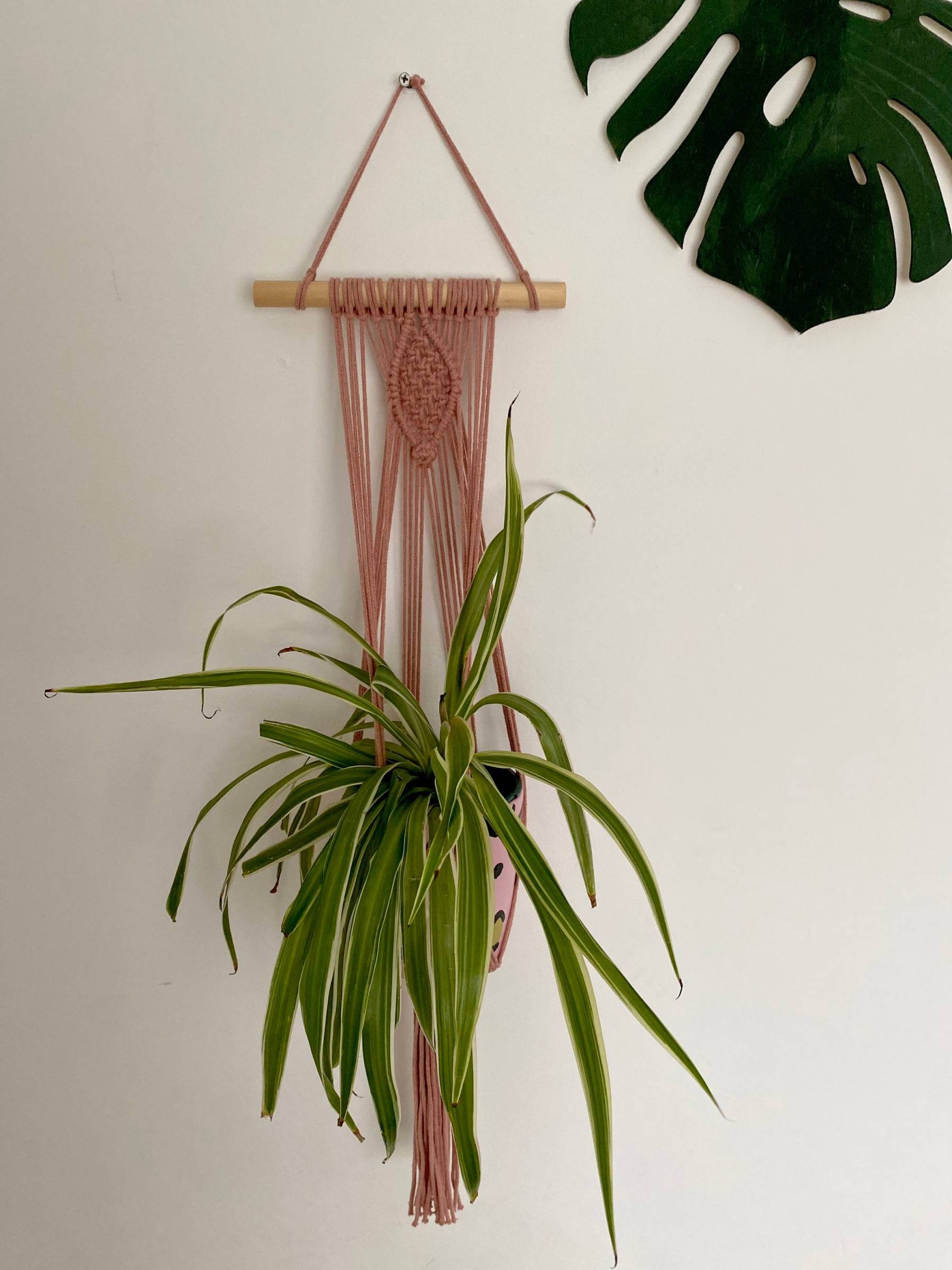 Blush pink plant hanger, macrame wall hanging, plant gift, indoor plan