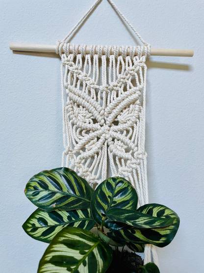 Macrame plant hanger/Macrame plant wall hanging/Macrame butterfly
