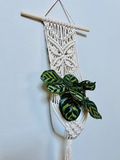 Macrame plant hanger/Macrame plant wall hanging/Macrame butterfly