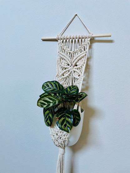 Macrame plant hanger/Macrame plant wall hanging/Macrame butterfly
