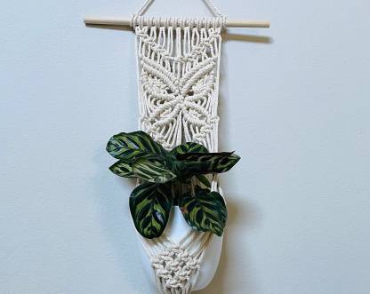 Macrame plant hanger/Macrame plant wall hanging/Macrame butterfly