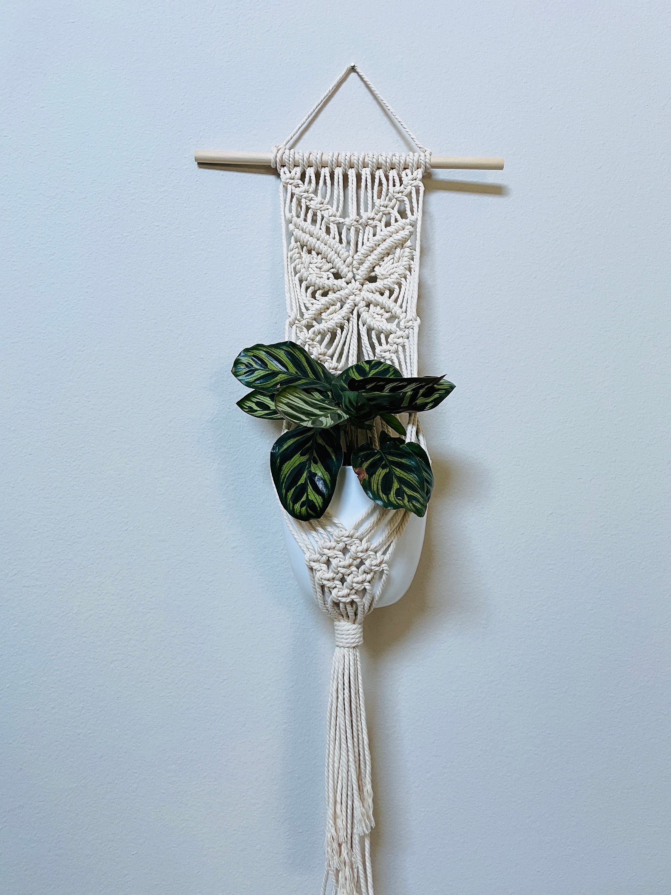Macrame plant hanger/Macrame plant wall hanging/Macrame butterfly