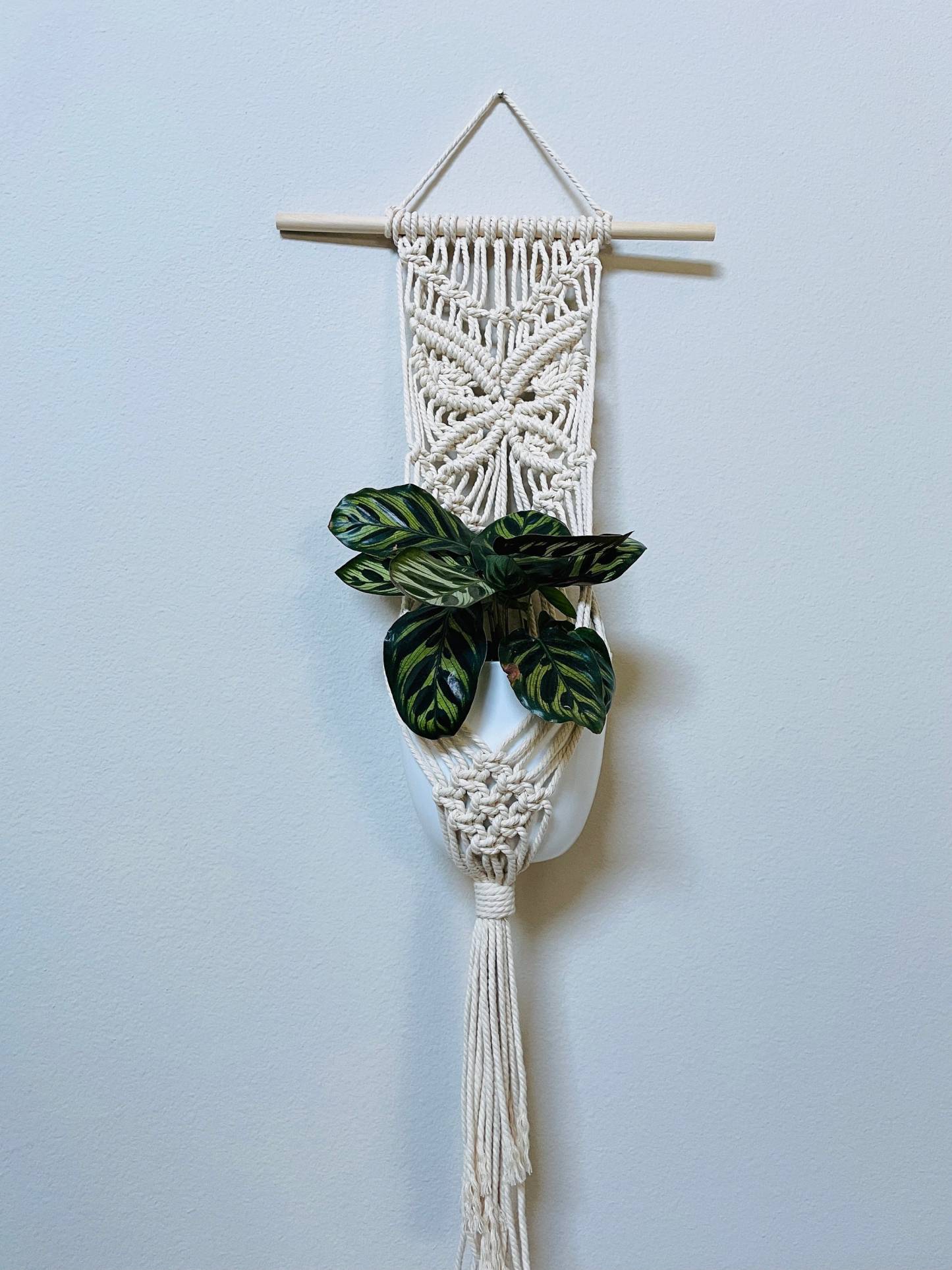 Macrame plant hanger/Macrame plant wall hanging/Macrame butterfly