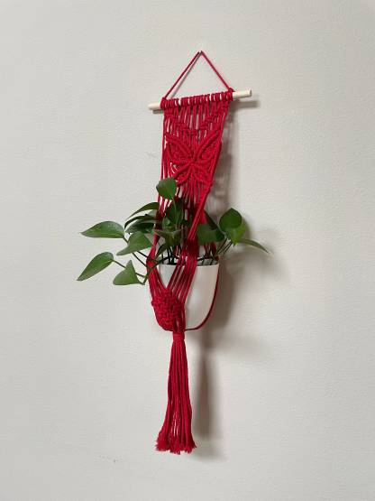Macrame plant hanger/Macrame plant wall hanging/Macrame butterfly