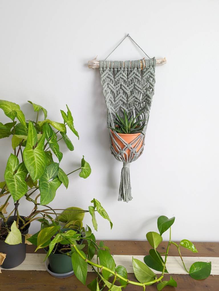 Macrame Wall Plant Hanger, contemporary modern macrame plant display, 