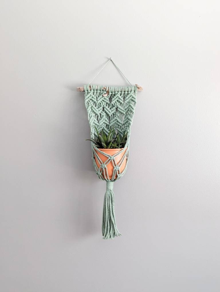 Macrame Wall Plant Hanger, contemporary modern macrame plant display, pot holder for wall, boho home decor for dorm, living room, bedroom