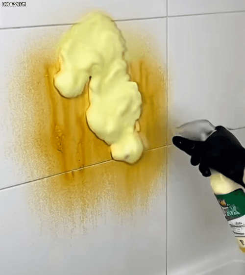 Honeycam 2026-01-22 10-45-27.gif