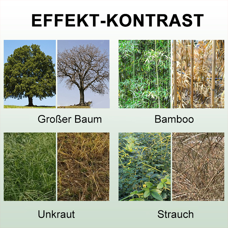 Sonstiges Bambusnetz Faulwurzelkönig
