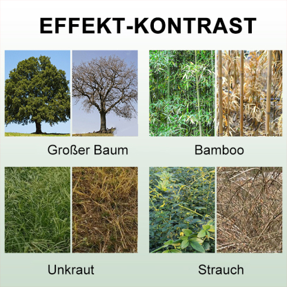 Sonstiges Bambusnetz Faulwurzelkönig