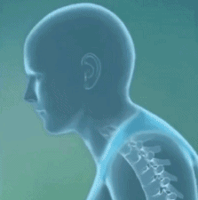 d9710d1bddd79913460764c7c019c590.gif