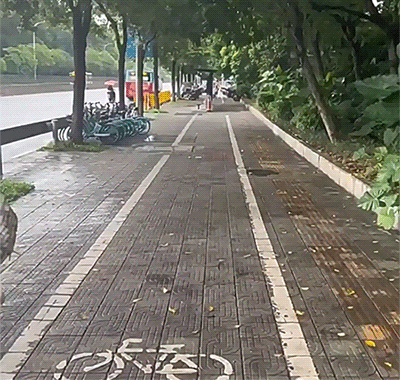 20240716_161743_236.gif