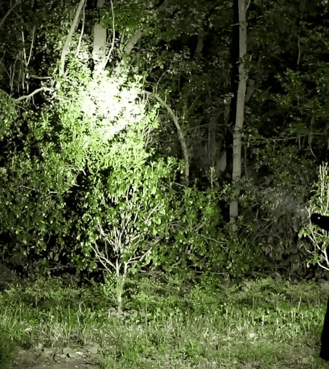 翻译件-JL-微笑鲨迷你高亮便携磁吸强光手电-_12.gif