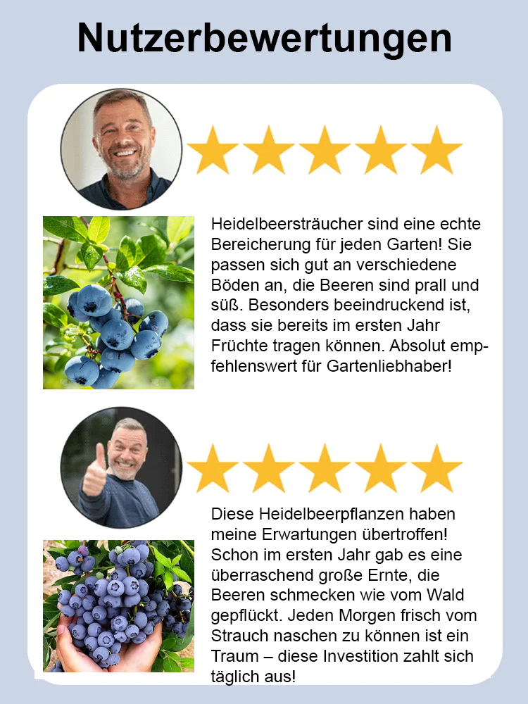 [Augenschutz und Anti-Aging] Peruanische Blaubeersamen der Premiumklasse A