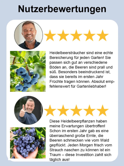 [Augenschutz und Anti-Aging] Peruanische Blaubeersamen der Premiumklasse A