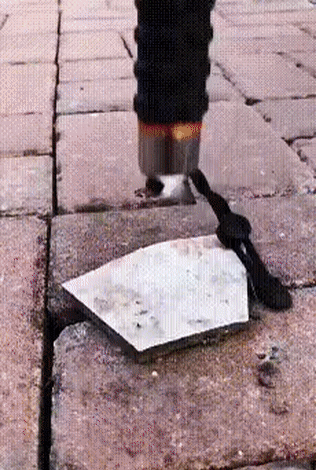 04.gif