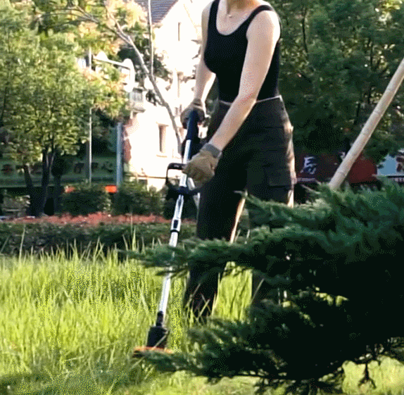 image_15-2.gif