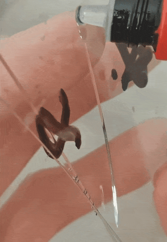 02_compressed.gif