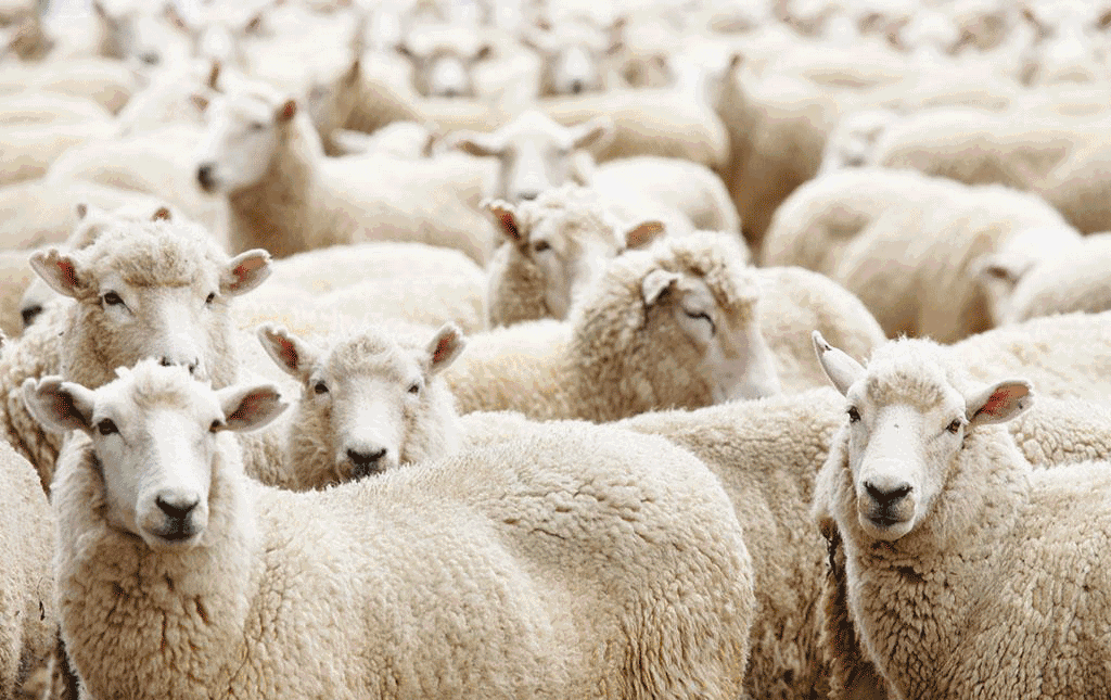 71b7da9db998bd2688d7343ae09e816f775798361005312840DE2470b6d36d1b1d3f735d46a76cb62f31d (1).gif