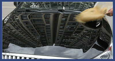 未标题-1_21.gif