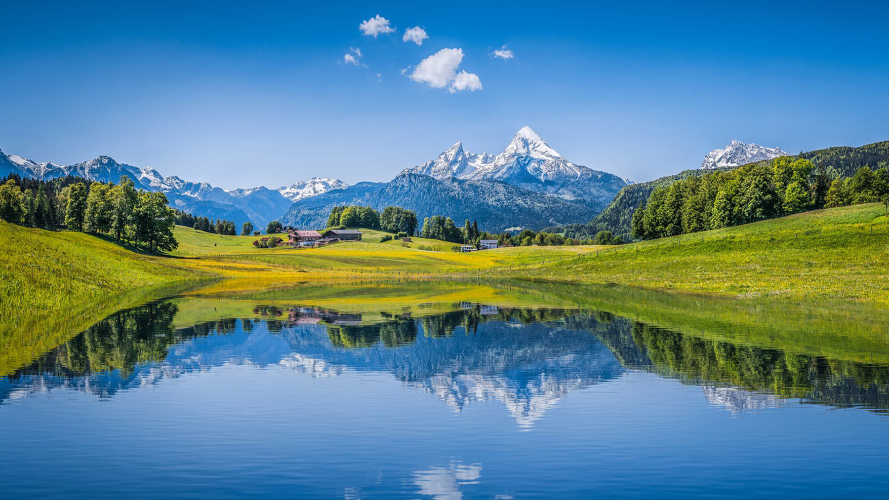 远赴人间惊鸿宴 ，一睹人间盛世颜。