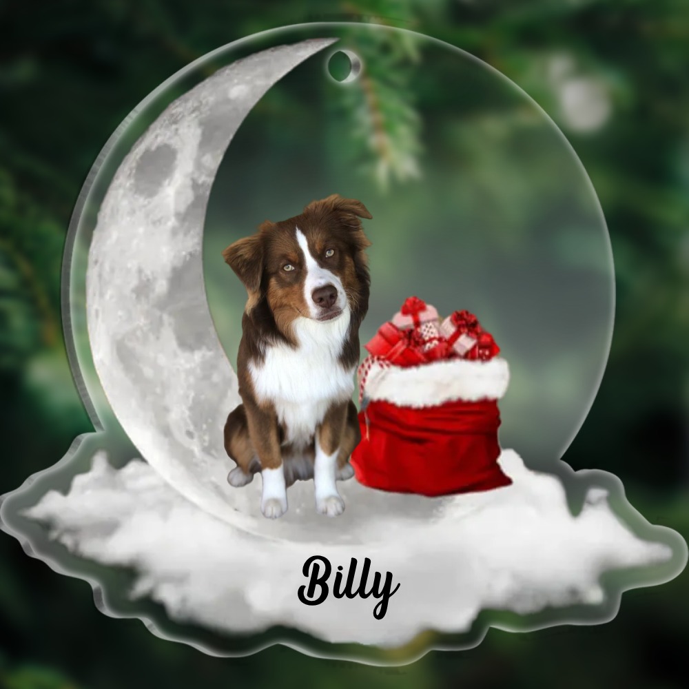 Acryl Weihnachtsornament-Personalisiertes Foto & Name Haustier Halbmond Rund Ornament/Schlüsselanhänger mit Schlüsselring
